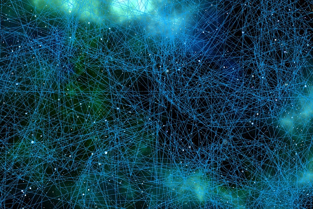 network.jpg
